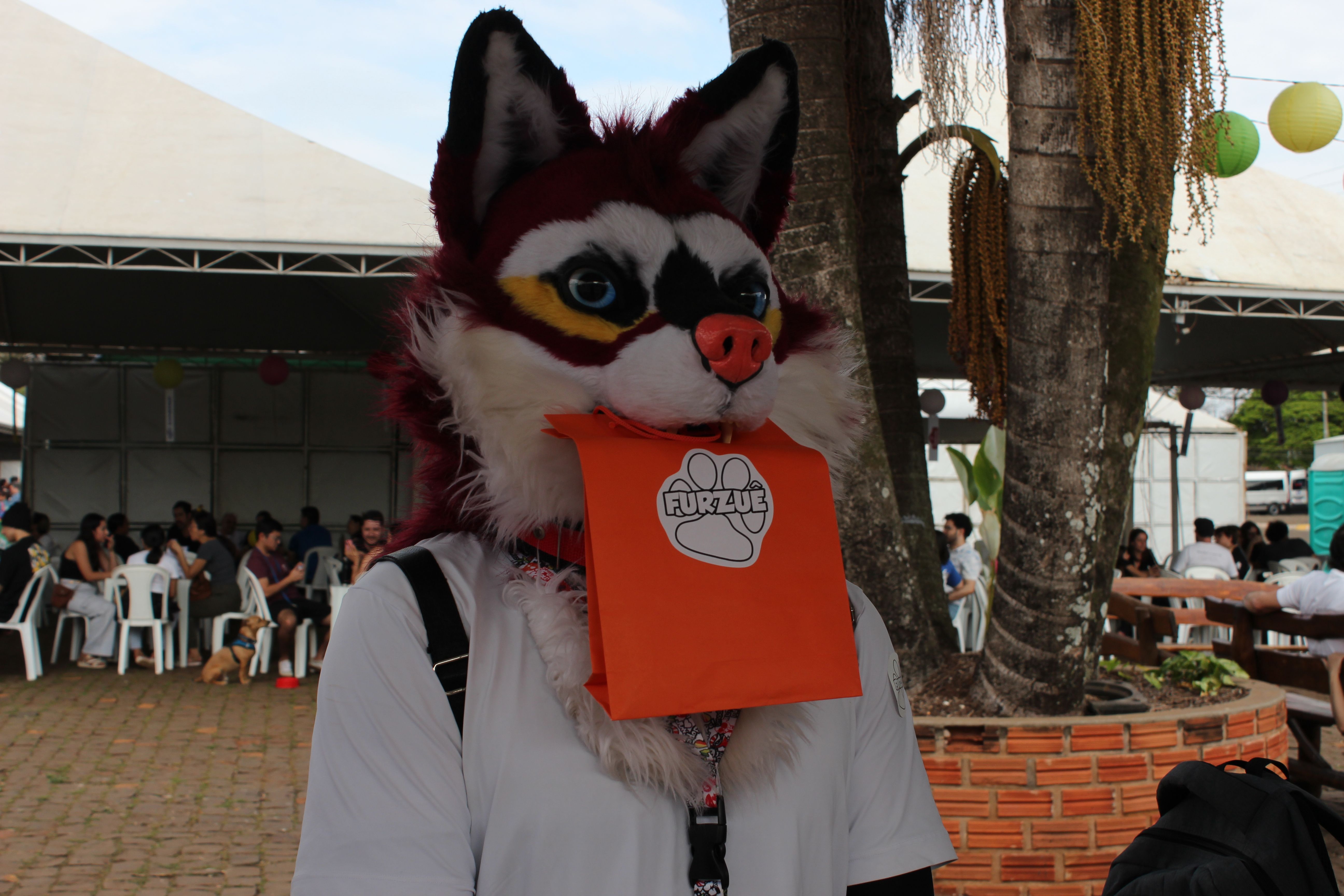 Furzuê 2025 - Foto 5